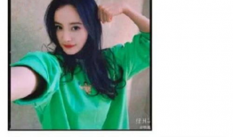 沈腾爆料吃瓜事件视频,一场娱乐圈的“瓜田”风云