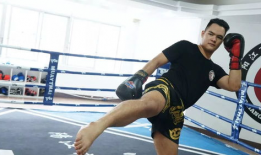 自由搏击视频教学,从实战视频解析自由搏击技巧与策略