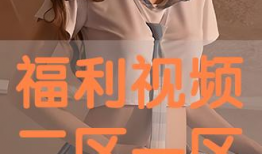 福利二区视频,揭秘生活娱乐新天地